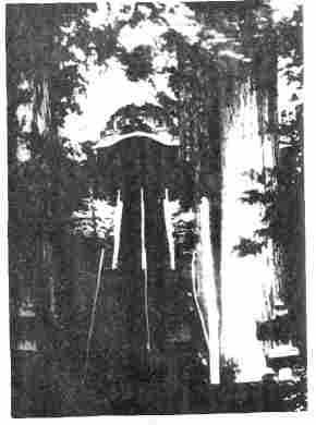 Валерий Момот - Рожденные во тьме