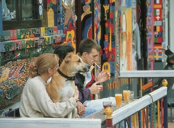 Бертольд Шварц, Ингола Ламмерс и др. - Амстердам. Путеводитель