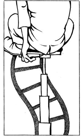 Елена Молл - Управление карьерой менеджера