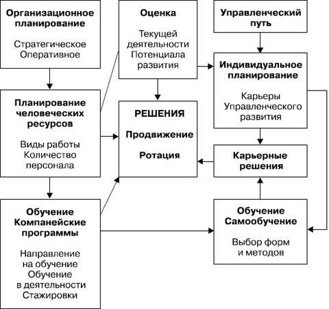 Елена Молл - Управление карьерой менеджера