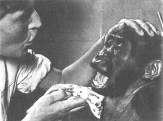 Бернгард Гржимек - Животные рядом с нами