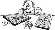 Как организовать и представить...