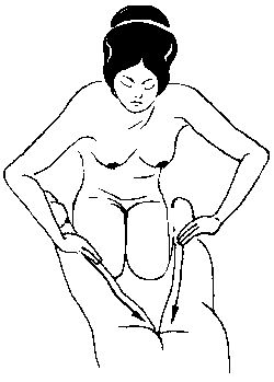 Элиза Танака - Массаж гейши. Изысканная романтика секса