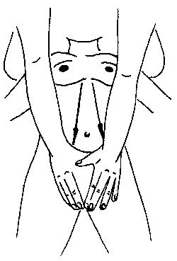 Элиза Танака - Массаж гейши. Изысканная романтика секса