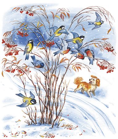 Георгий Скребицкий - Лесной голосок (сборник)