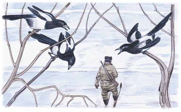 Георгий Скребицкий - Лесной голосок (сборник)