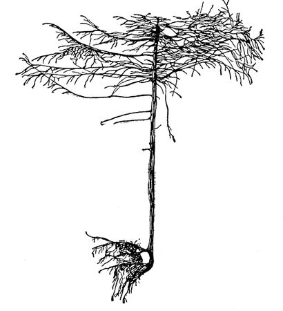 Александр Кожевников - По тундрам, лесам, степям и пустыням