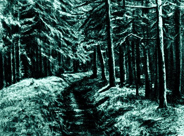 Александр Кожевников - По тундрам, лесам, степям и пустыням