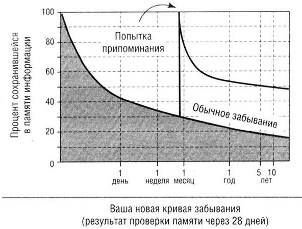 Гэбриэл Вайнер - Революционный метод быстрого изучения любого иностранного языка
