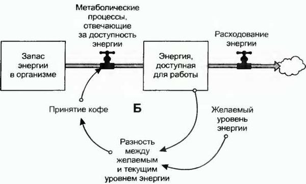 Донелла Медоуз - Азбука системного мышления