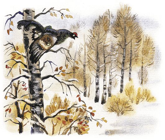 Георгий Скребицкий - Лесной голосок (сборник)