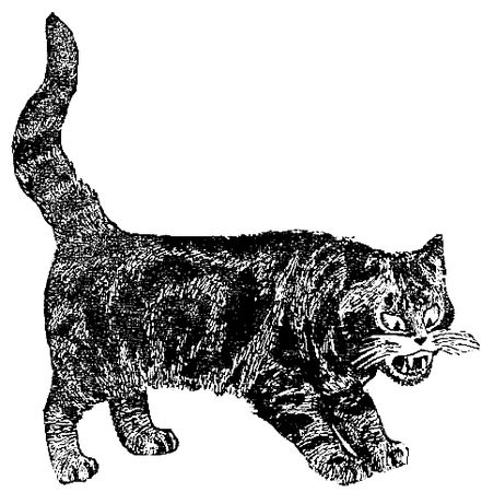 Корней Чуковский - Стихи и сказки