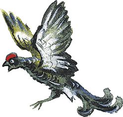 Георгий Скребицкий - Лесной голосок (сборник)