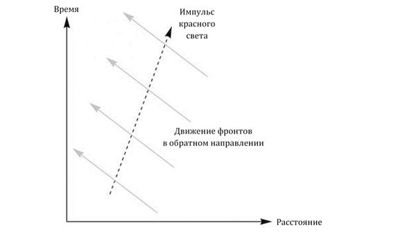 Грег Иган - Заводная ракета