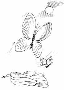 Роман Доля - Техника и практика медитаций