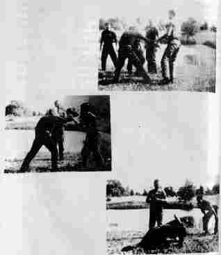 Валерий Момот - Рожденные во тьме