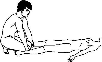 Элиза Танака - Массаж гейши. Изысканная романтика секса