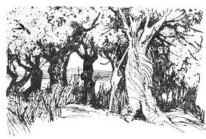 Збигнев Ненацкий - Остров преступников