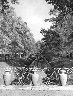 Светлана Ермакова - Царское Село и Павловск