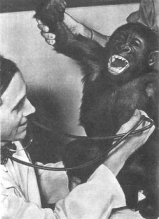 Бернгард Гржимек - Животные рядом с нами