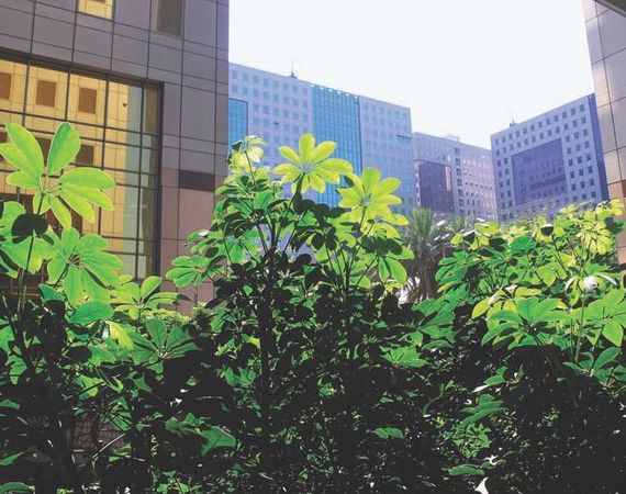 Андрей Кузин - IT-storii. Записки айтишника