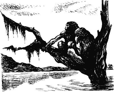 Димитр Ангелов - Когда человека не было