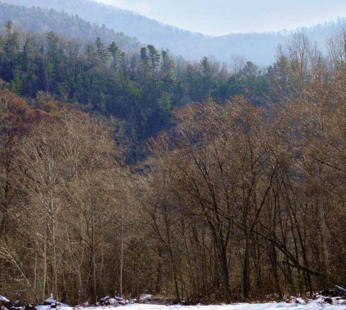 Михаил Кречмар - Полосатая кошка, пятнистая кошка