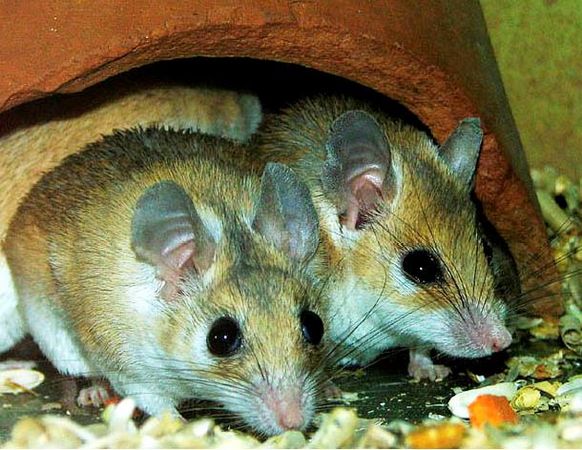 Валентина Ива - Субстанция времени