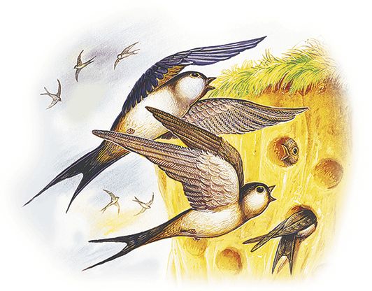 Георгий Скребицкий - Лесной голосок (сборник)