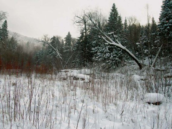 Михаил Кречмар - Полосатая кошка, пятнистая кошка