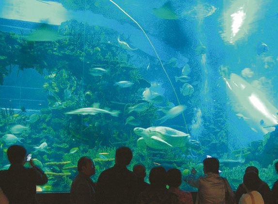 Юрген Бергманн - Пекин и его окрестности. Путеводитель