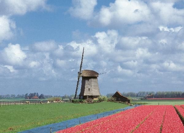 Бертольд Шварц, Ингола Ламмерс и др. - Амстердам. Путеводитель
