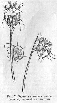 Юрий Герасимов - Ю.А. Герасимов Лисица