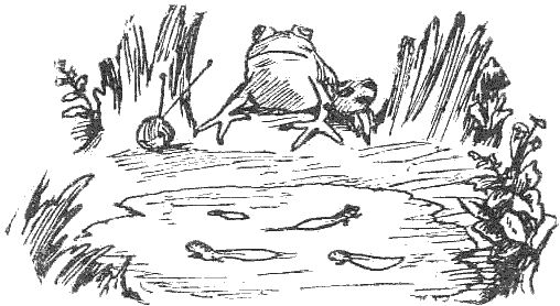 Корней Чуковский - Стихи и сказки