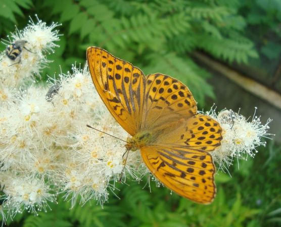 Валентина Ива - Субстанция времени