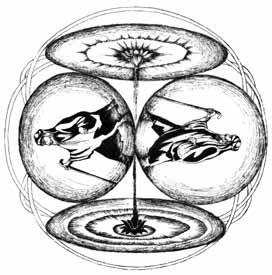 Роман Доля - Техника и практика медитаций