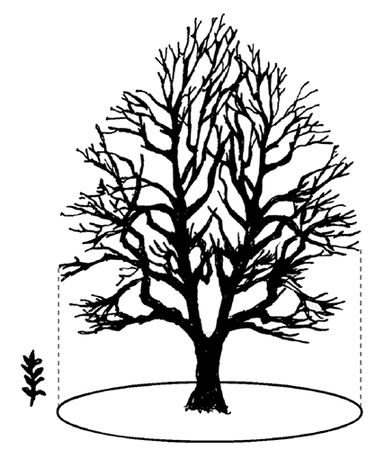 Анна Зорина - Садово-огородные хитрости. Постройки и инвентарь