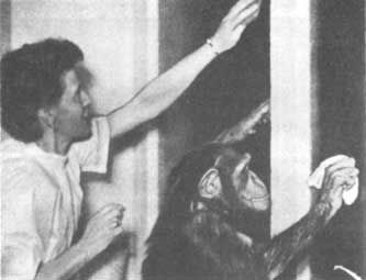 Бернгард Гржимек - Животные рядом с нами