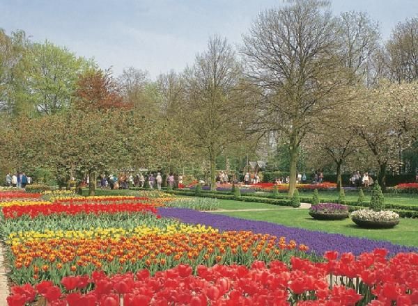 Бертольд Шварц, Ингола Ламмерс и др. - Амстердам. Путеводитель