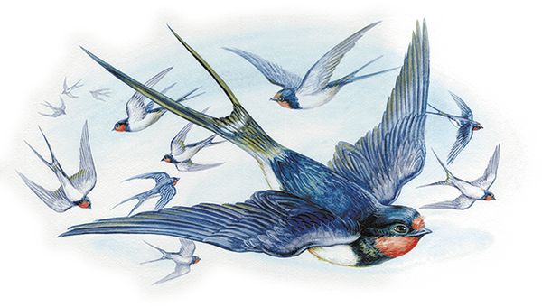 Георгий Скребицкий - Лесной голосок (сборник)