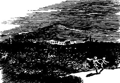 Линдсей Джек - Беглецы. Востание на золотых приисках