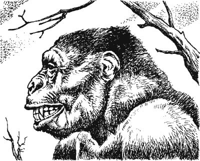 Димитр Ангелов - Когда человека не было