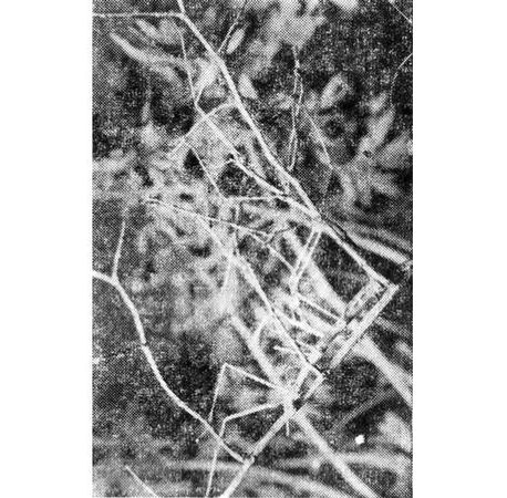 Павел Мариковский - Шагая по пустыне...