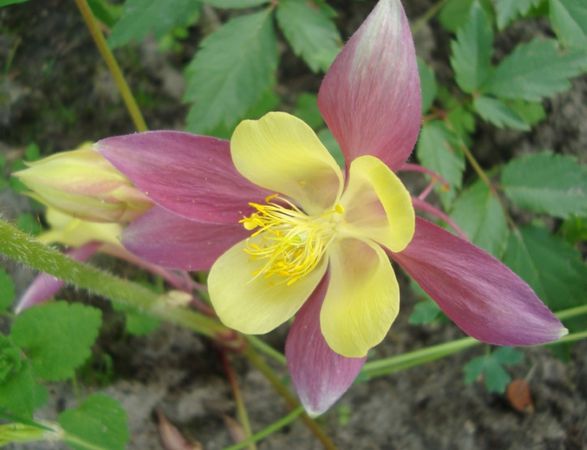 Валентина Ива - Субстанция времени