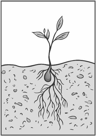 Алексей Алнашев - Древо жизни. Том 1