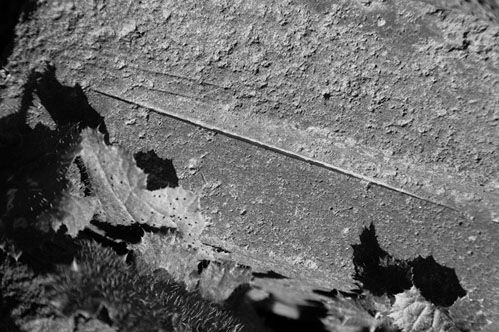 Андрей Скляров - Сирийские перекрестки цивилизации