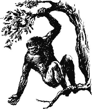 Димитр Ангелов - Когда человека не было