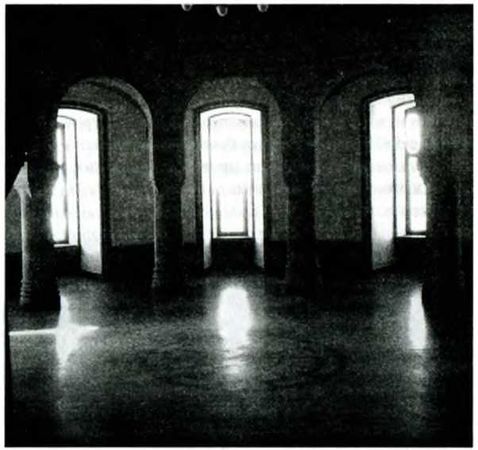 Ольга рейгъ, Александр Рудаков - Врата фюрера. Апокалипсис волка