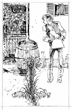 Эрнест Сетон-Томпсон - Маленькие дикари