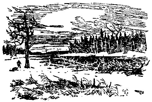 Владимир Обручев - Плутония (Художник Г. Никольский)